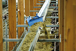 Pellon conveyor belt feed - The affordable alternative to feet robots!