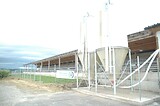 tierwohlstall_fotos_13.jpg
