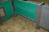 bio_sauen_abferkel_pig_fair_012.jpg