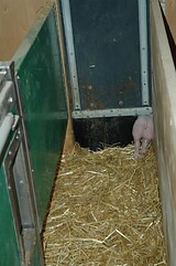 bio_sauen_abferkel_pig_fair_106.jpg