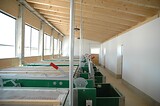 stalleinrichtung_bio_sauen_abferkelbucht_11.jpg