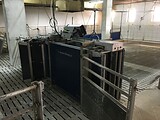 stalleinrichtung_schweinemast_grossgruppen_11.jpg