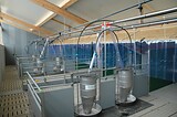 stalleinrichtung_schweinemast_pigport_stalleinrichtung_29.jpg