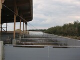 stalleinrichtung_schweinemast_bio_waldviertel_13.jpg